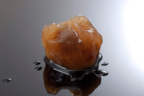 いちじくゼリー 詰め合わせ 10個